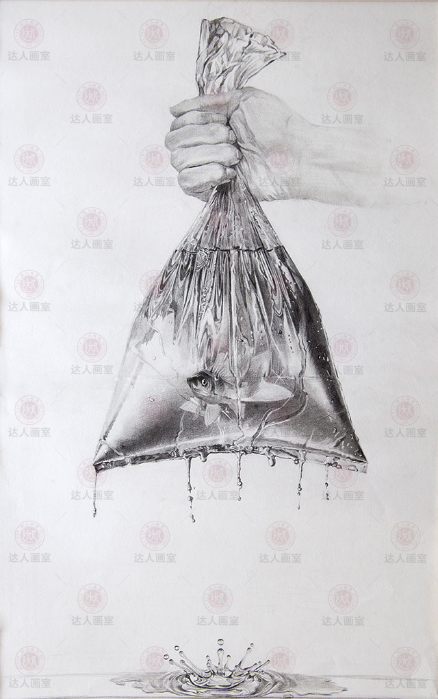 达人画室央美设计班水袋里的鱼美术作品